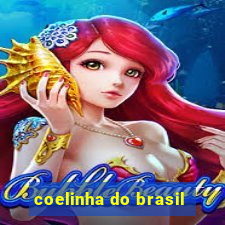 coelinha do brasil